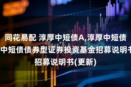 同花易配 淳厚中短债A,淳厚中短债C: 淳厚中短债债券型证券投资基金招募说明书(更新)