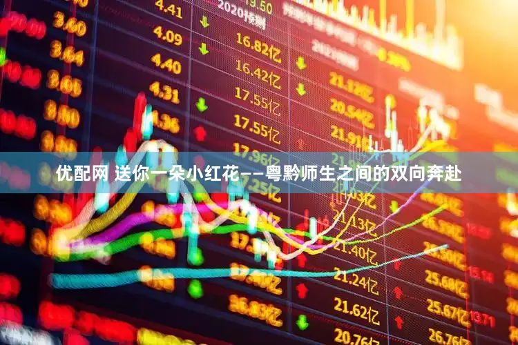 优配网 送你一朵小红花——粤黔师生之间的双向奔赴