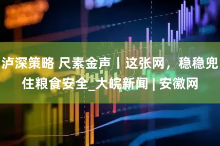 泸深策略 尺素金声丨这张网，稳稳兜住粮食安全_大皖新闻 | 安徽网