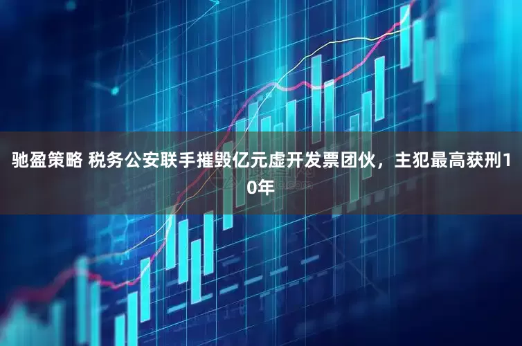 驰盈策略 税务公安联手摧毁亿元虚开发票团伙，主犯最高获刑10年